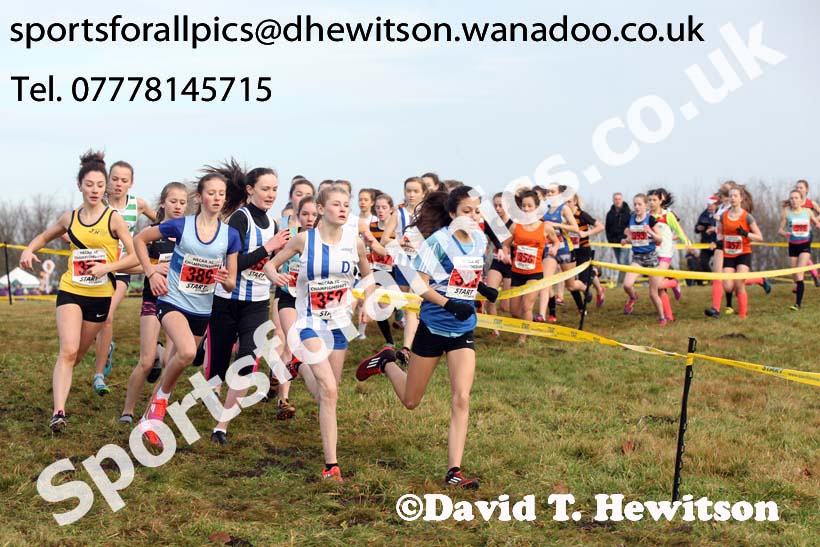Girls under-15s North Eastern Cross Country, Aykley Heads, Durham. Photo: David T. Hewitson/Sports for All Pics
